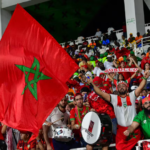 Bavieux renonce et jette l’éponge